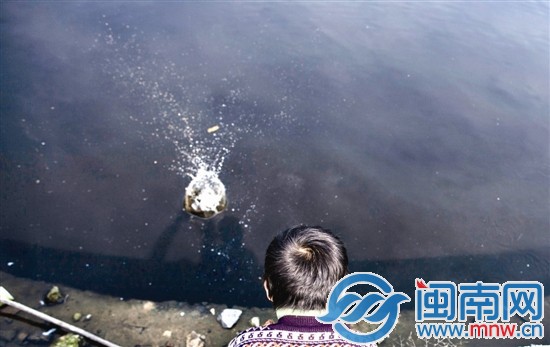 阿寶的樂園，是家門口那灣水塘